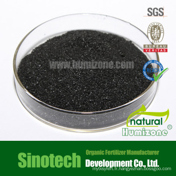 Humizone Hi-Humic: Humate de potassium 70% granulaire (H070-G)